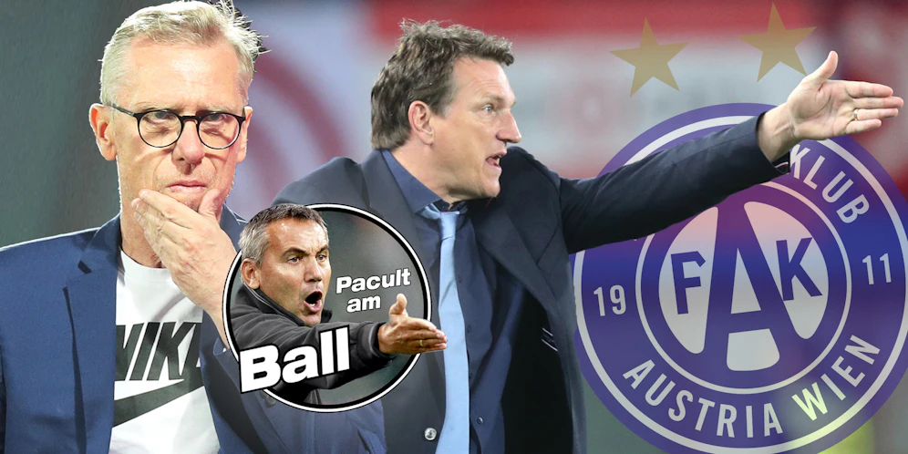Macht Peter Stöger Andreas Herzog zum Austria-Trainer? Peter Pacult hält es für möglich.