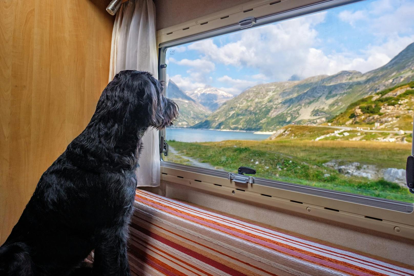 Bei Reisen sollte man darauf achten, dass das Hotel in das man fährt, Hunde akzeptiert oder am besten noch speziell darauf ausgerichtet ist.