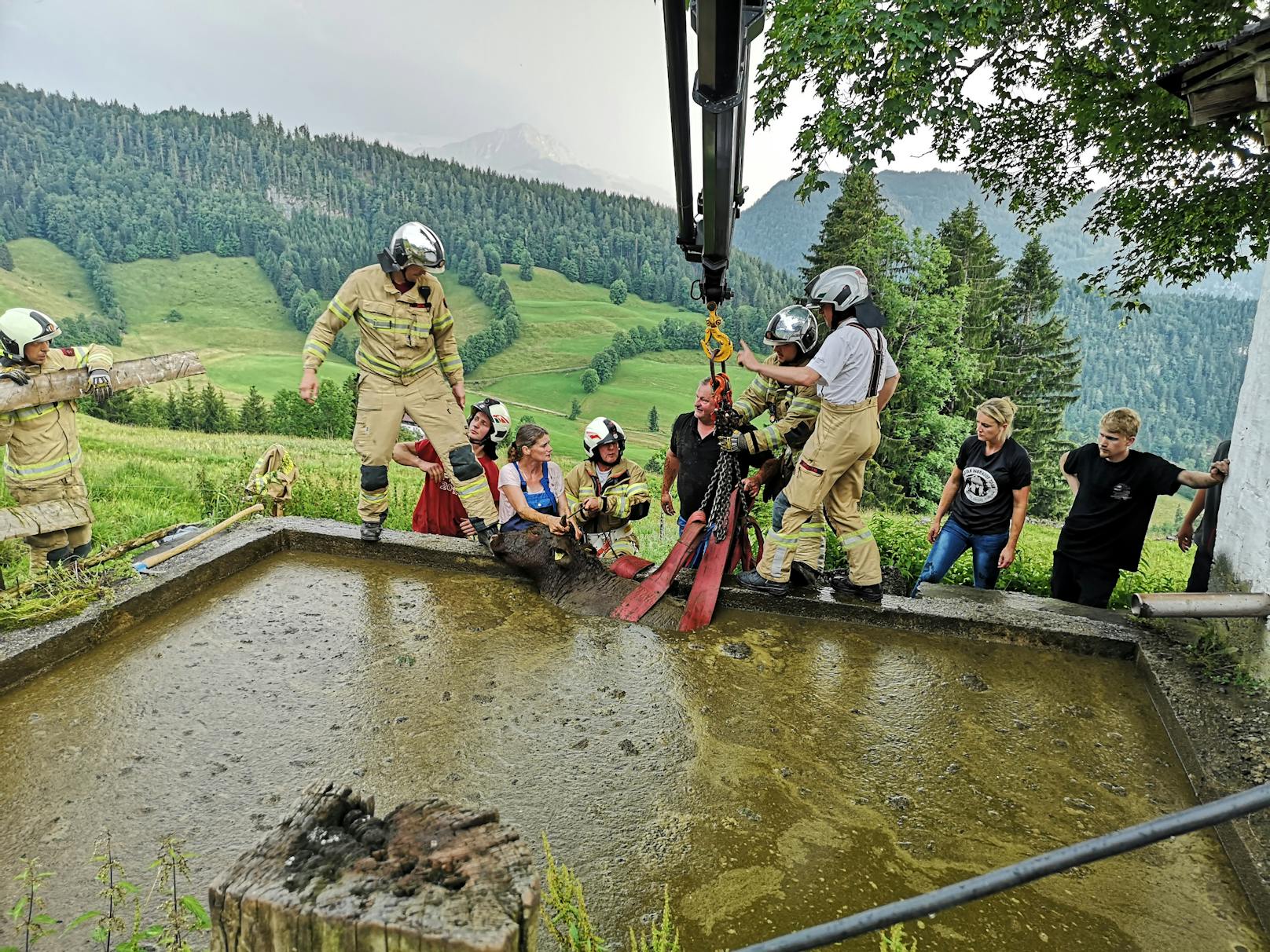 In Kirchberg kam es am Dienstag (21.07.2020) zu einer Tierrettung.