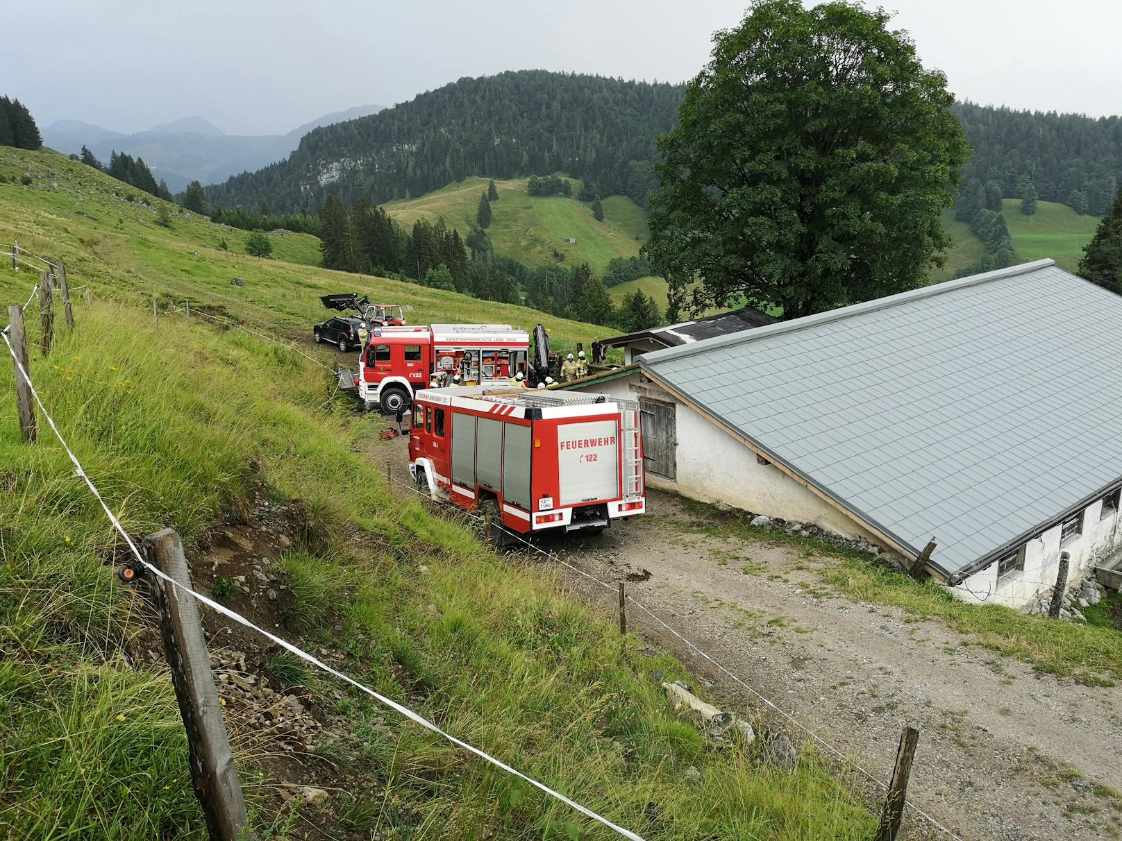 In Kirchberg kam es am Dienstag (21.07.2020) zu einer Tierrettung.