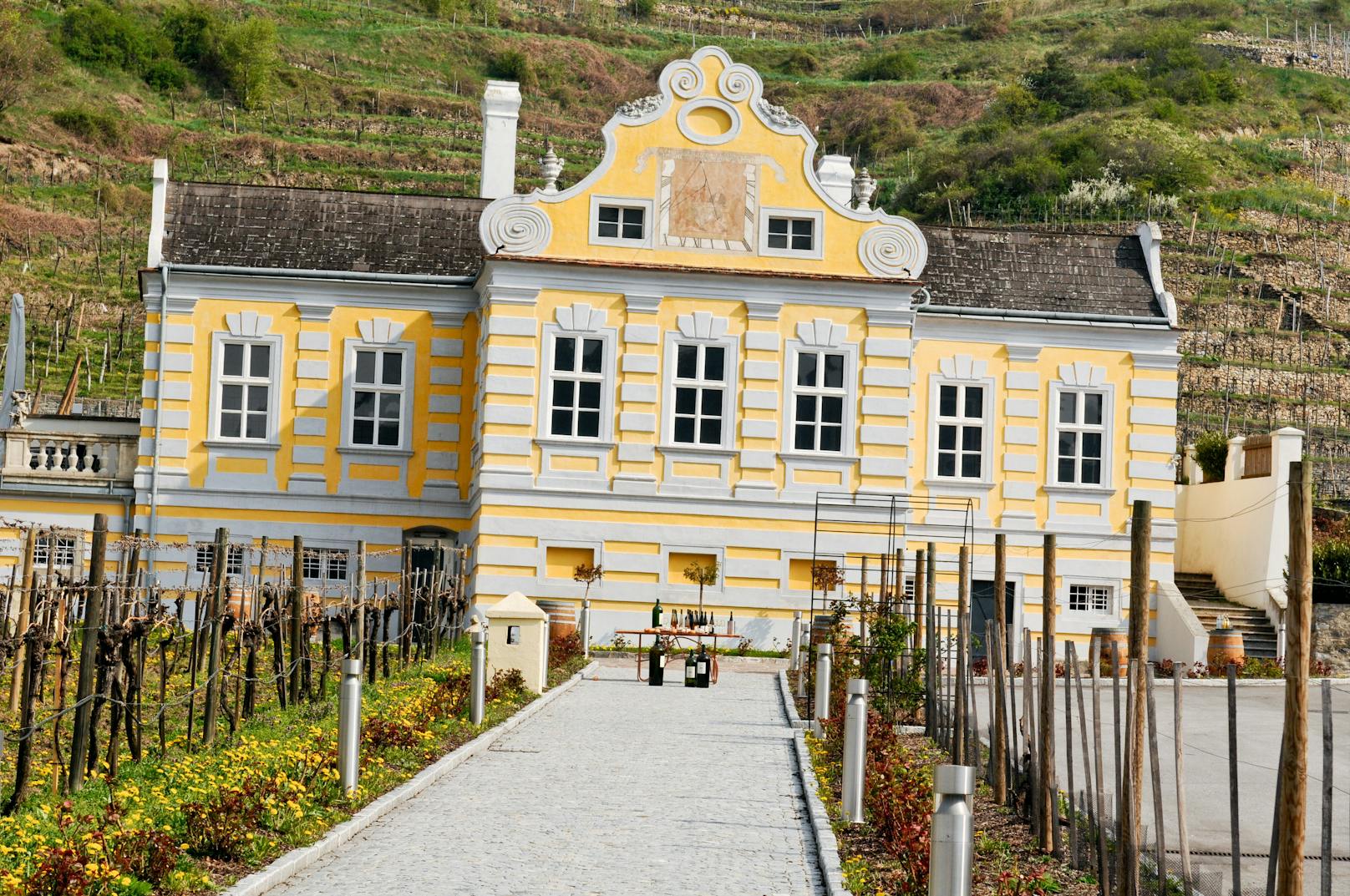 Die Domäne Wachau ist das beste Weingut Europas.