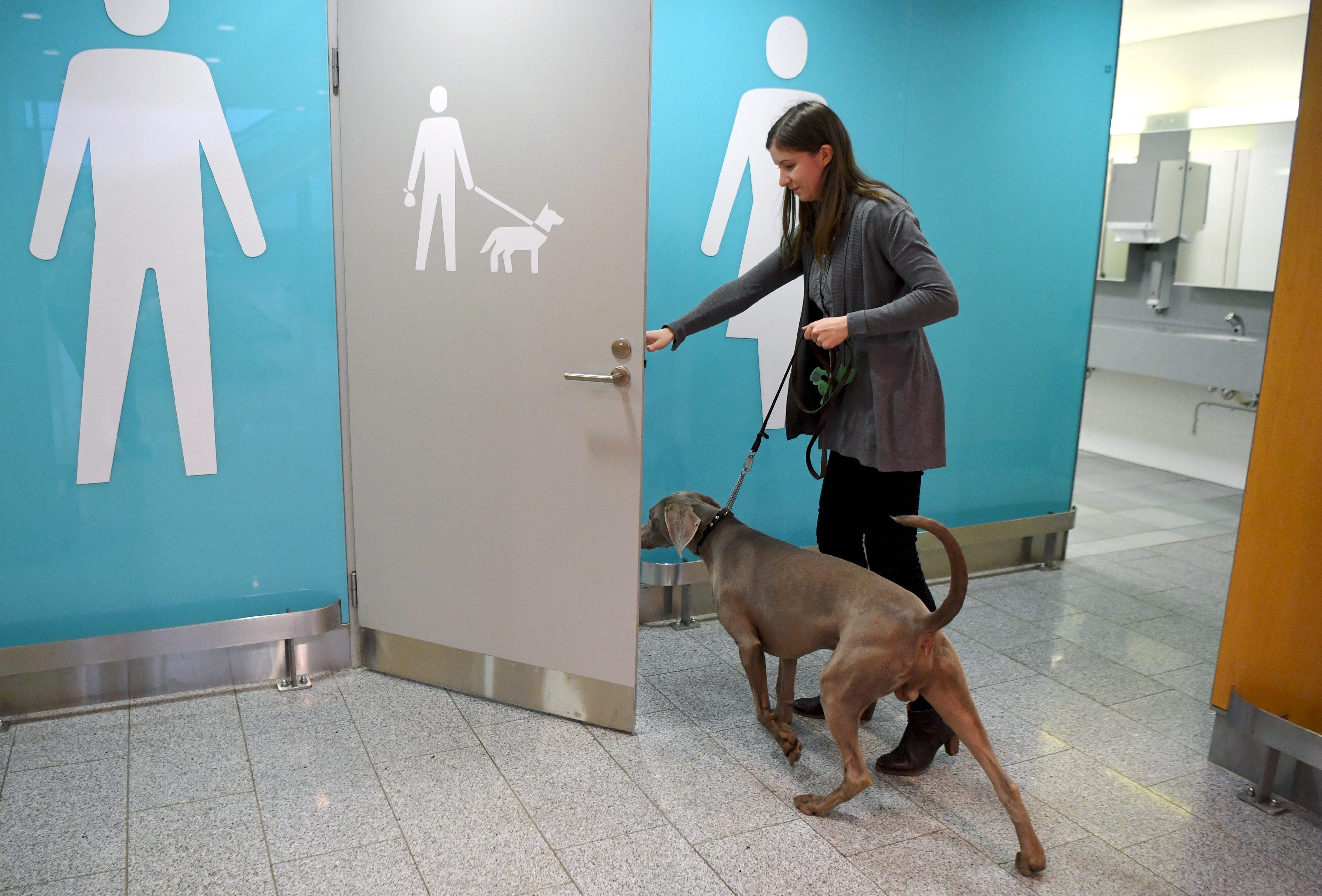 Eine Erleichterung: Airport baute Klos extra für Hunde Eine Erleichterung: Airport baute Klos extra für Hunde
