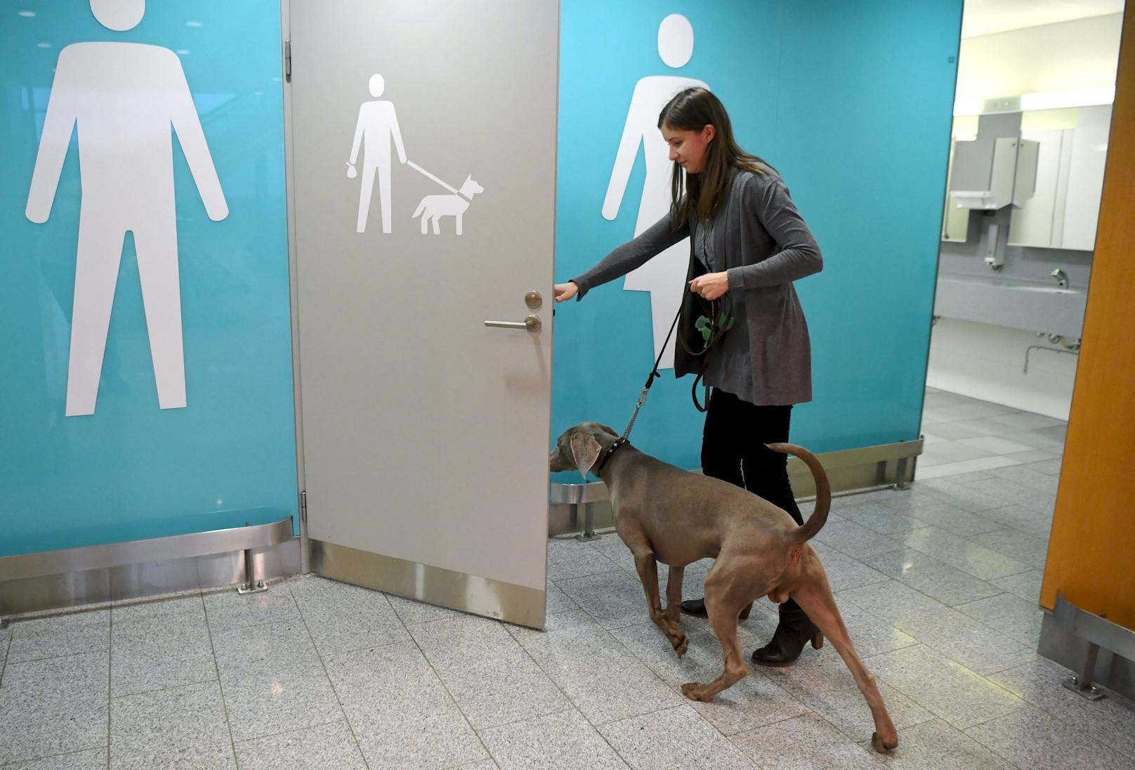 Am Flughafen Helsinki gibt's eine Toilette für Hunde.