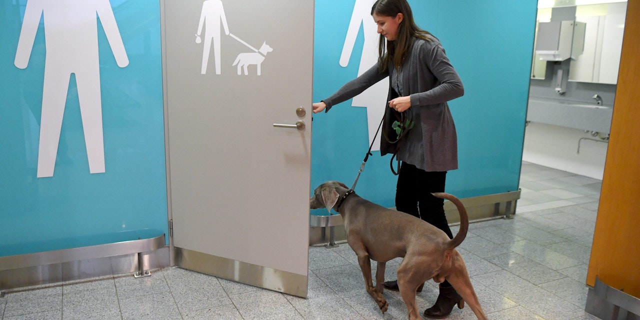 Erster Flughafen mit HundeKlo Tiere Heute.at