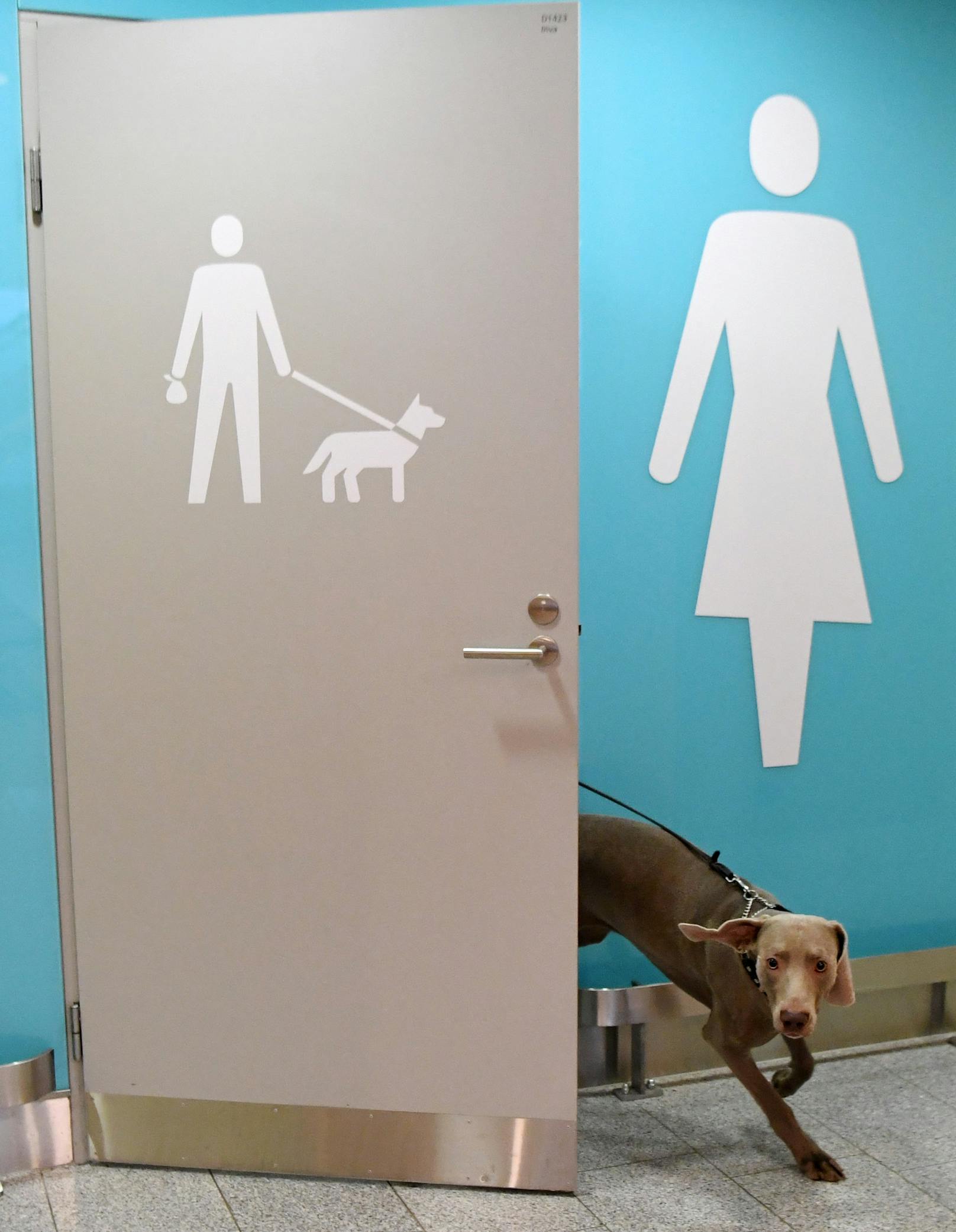 Am Flughafen Helsinki gibt's eine Toilette für Hunde.