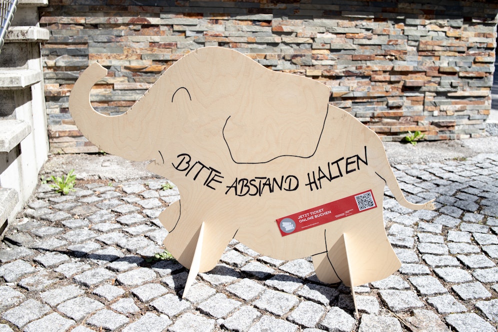 Der Baby-Elefant wurde das Markenzeichen des  Halten des Abstands. 