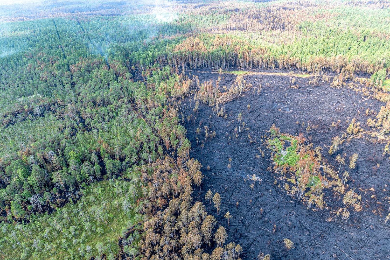Bis Mitte Juli 2020 waren durch eine Rekord-Hitzewelle alleine im Nordwesten Sibiriens mehr als 240 Waldbrände ausgebrochen