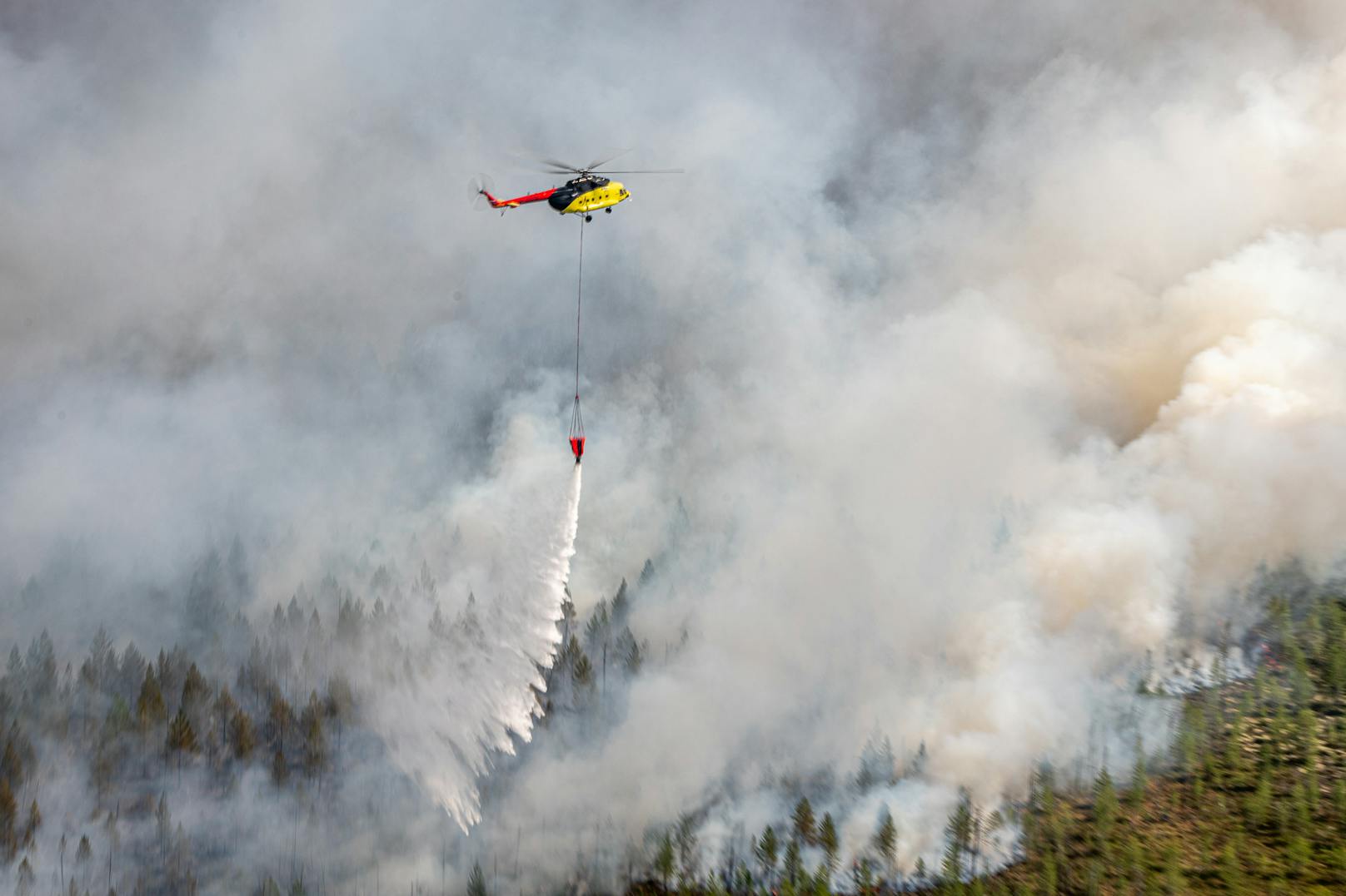 Bis Mitte Juli 2020 waren durch eine Rekord-Hitzewelle alleine im Nordwesten Sibiriens mehr als 240 Waldbrände ausgebrochen
