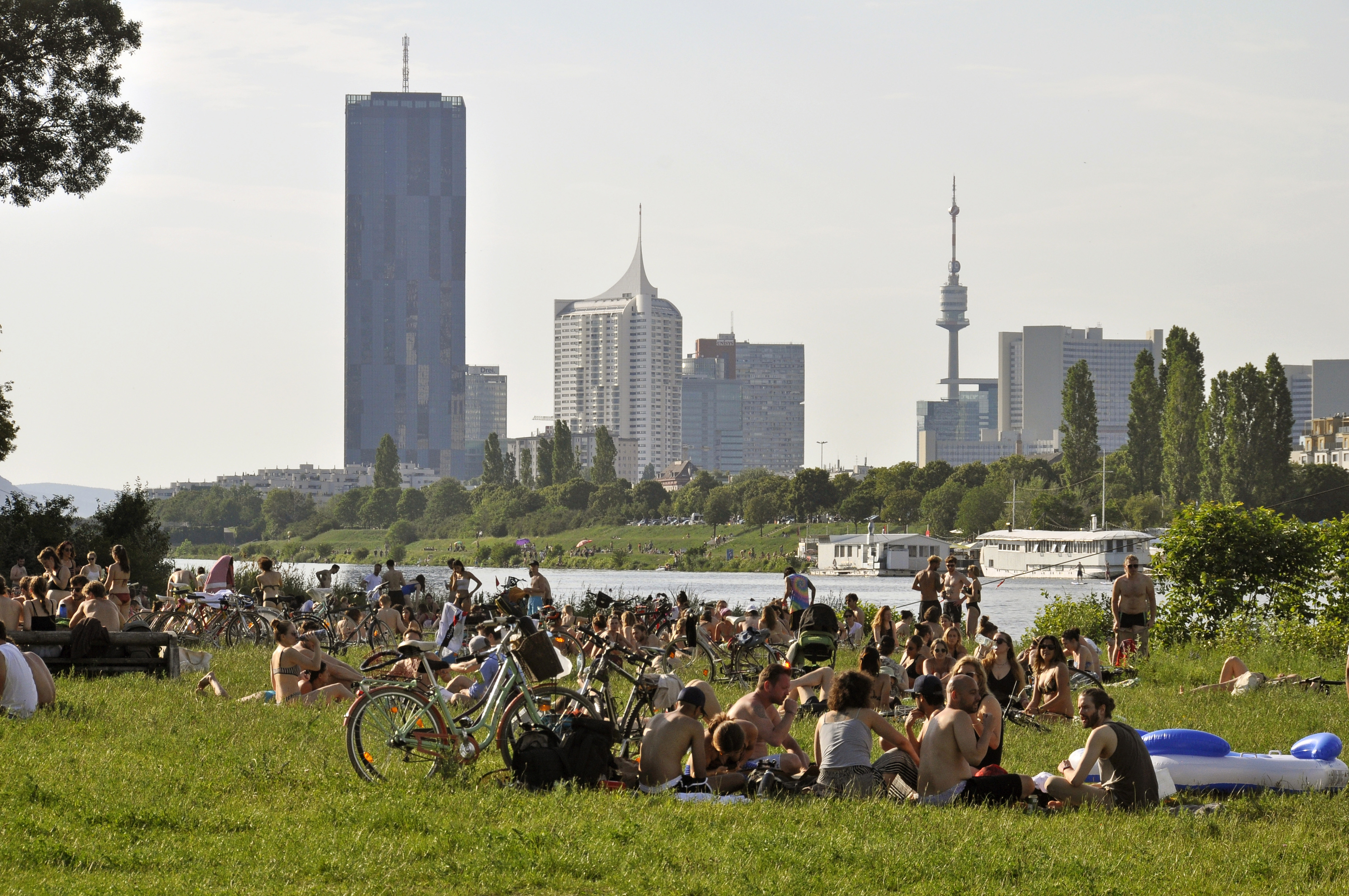 546 aktive Kranke gibt es  aktuell in Wien.