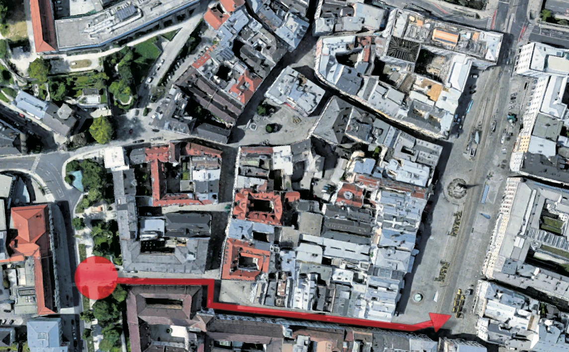 Die Demonstranten standen am Eingang zur Theatergasse (Kreis), damit war es für Autofahrer nicht möglich, auf diesem Wege auf den Hauptplatz zu kommen.