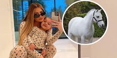 Shitstorm für Kylie wegen 200.000-Dollar-Pony