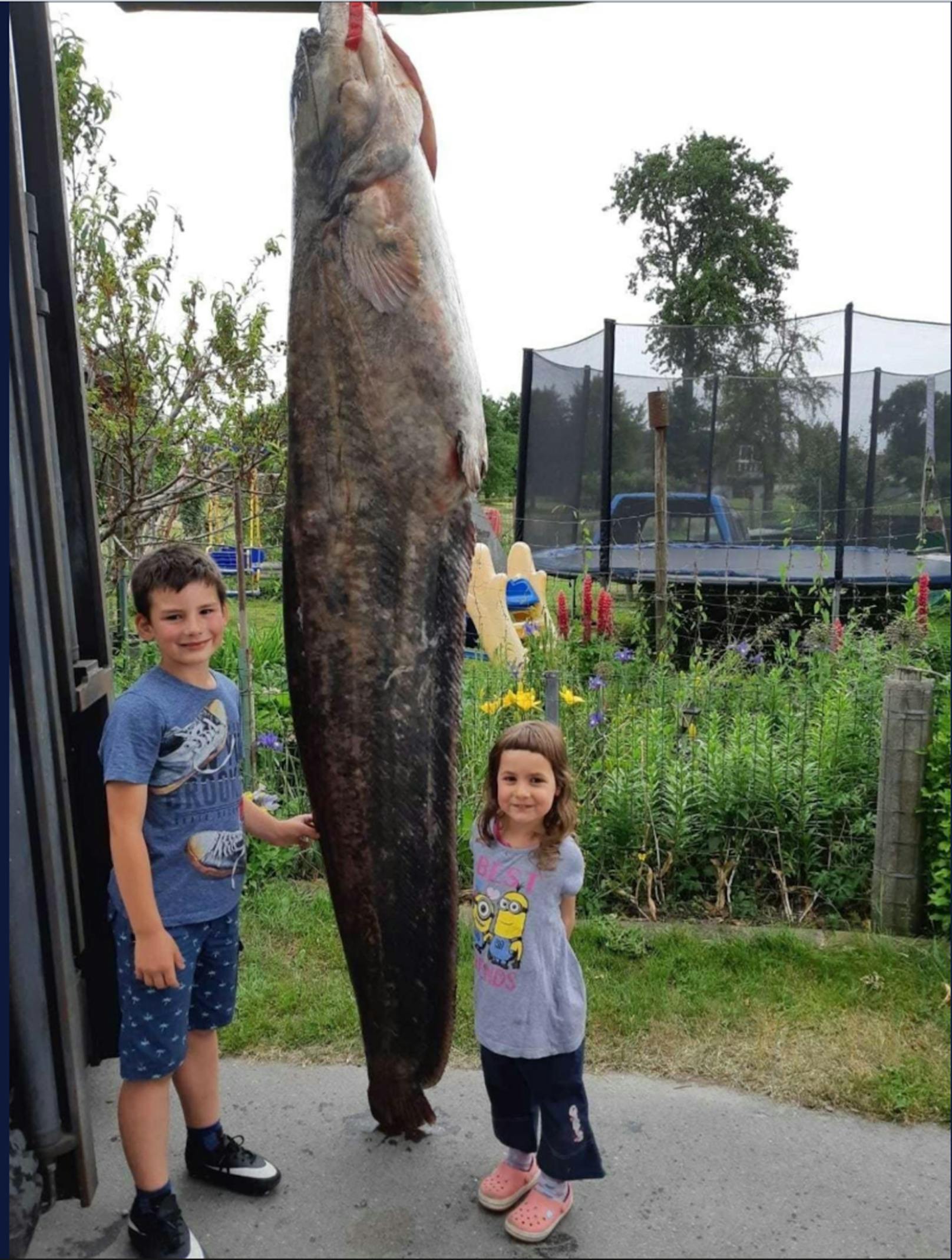 Der Fisch war 2,72 Meter lang und wog rund 100 Kilogramm.