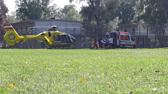 Rettungs-Einsatz im Wiener Gänsehäufel