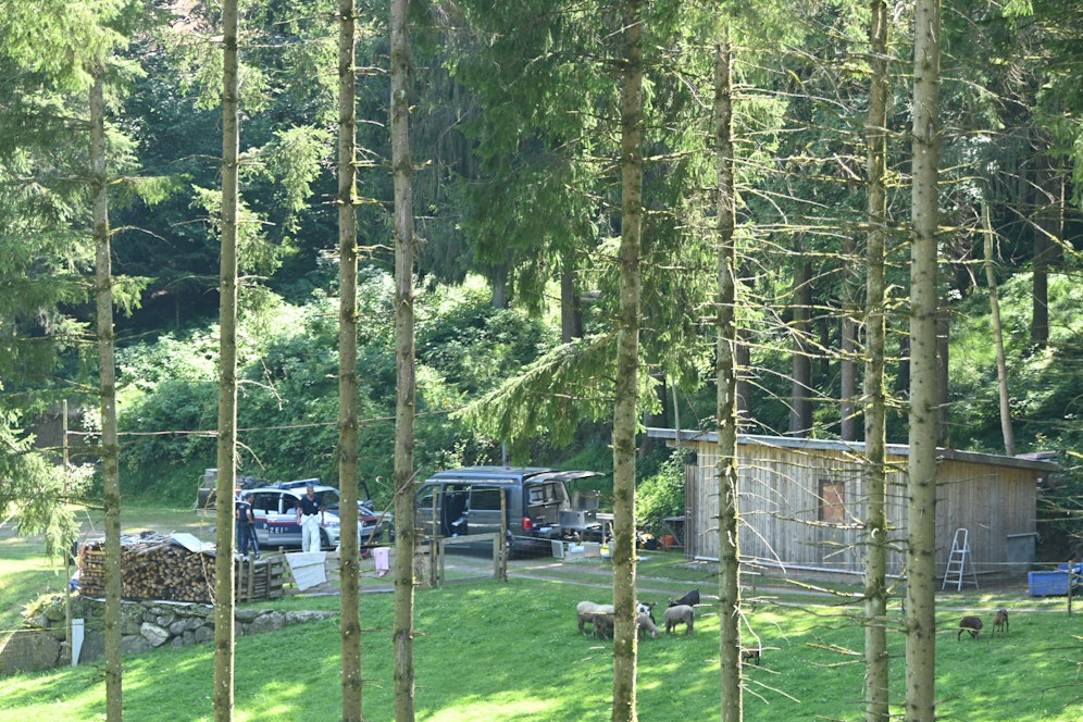 Ein 60-Jähriger soll seine, um ein Jahr jüngere, Lebensgefährtin ermordet haben.