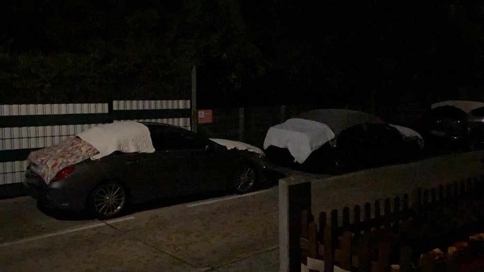 Wiener versuchen ihre Auto 