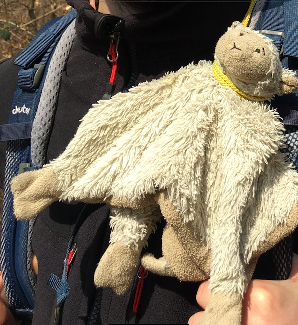 Die kleine Alma (2) liebt ihr Stoff-Schaf 