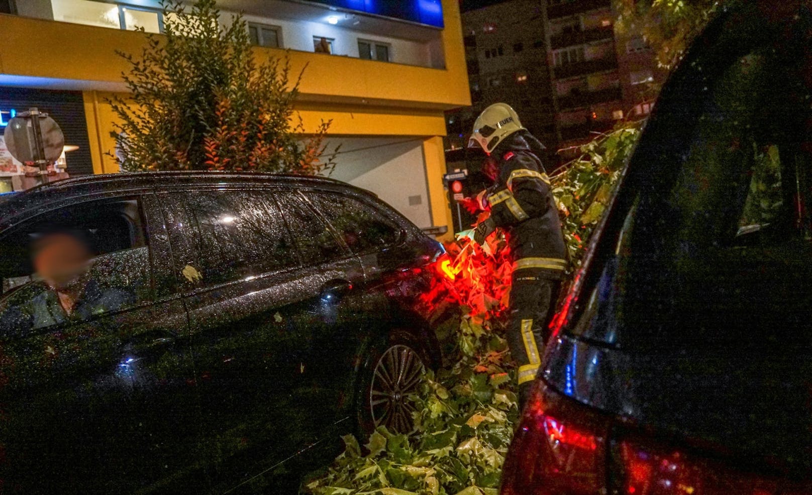 Baum stürzt auf Auto in St. Pölten.