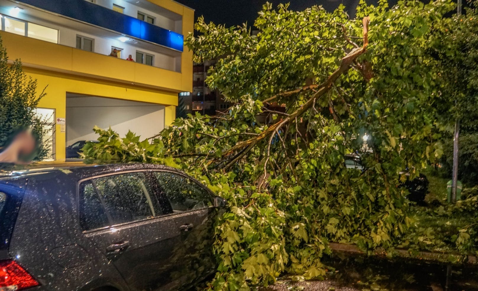 Baum stürzt auf Auto in St. Pölten.