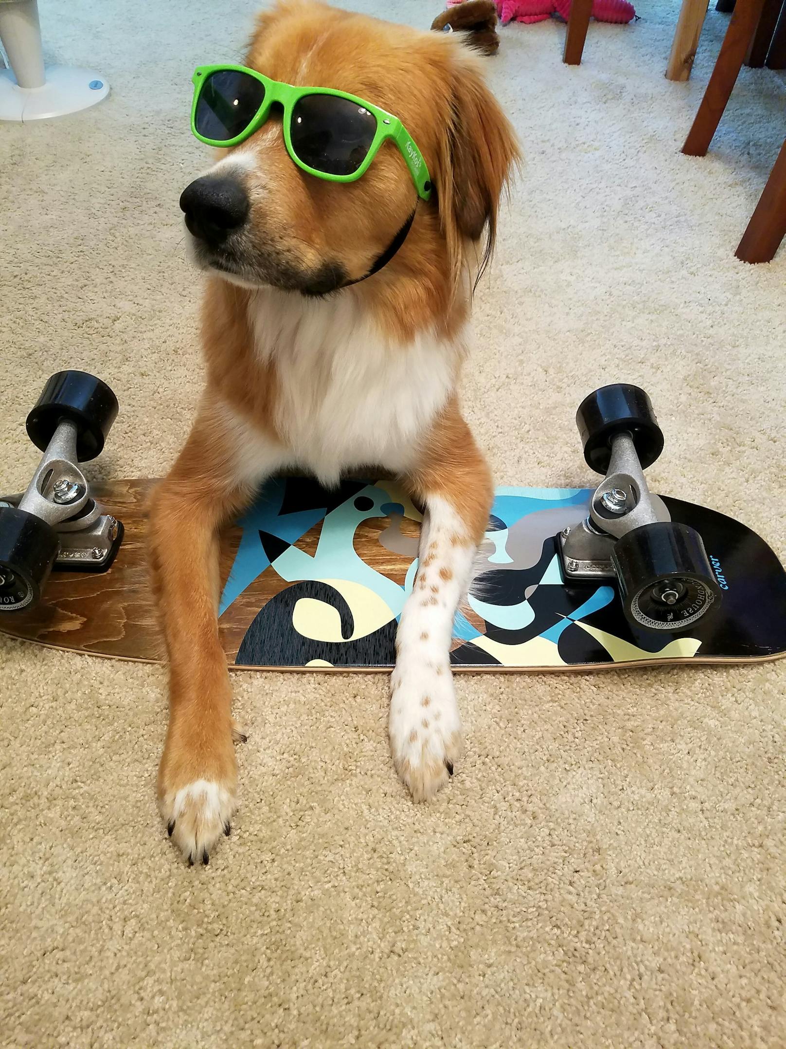 Er lernte Skateboarden.