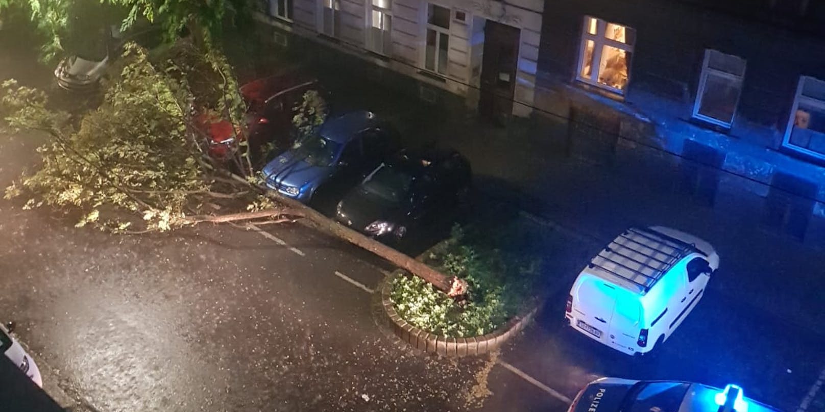 In Wien-Hernals wurde ein Baum durch die heftigen Sturmböen umgerissen.