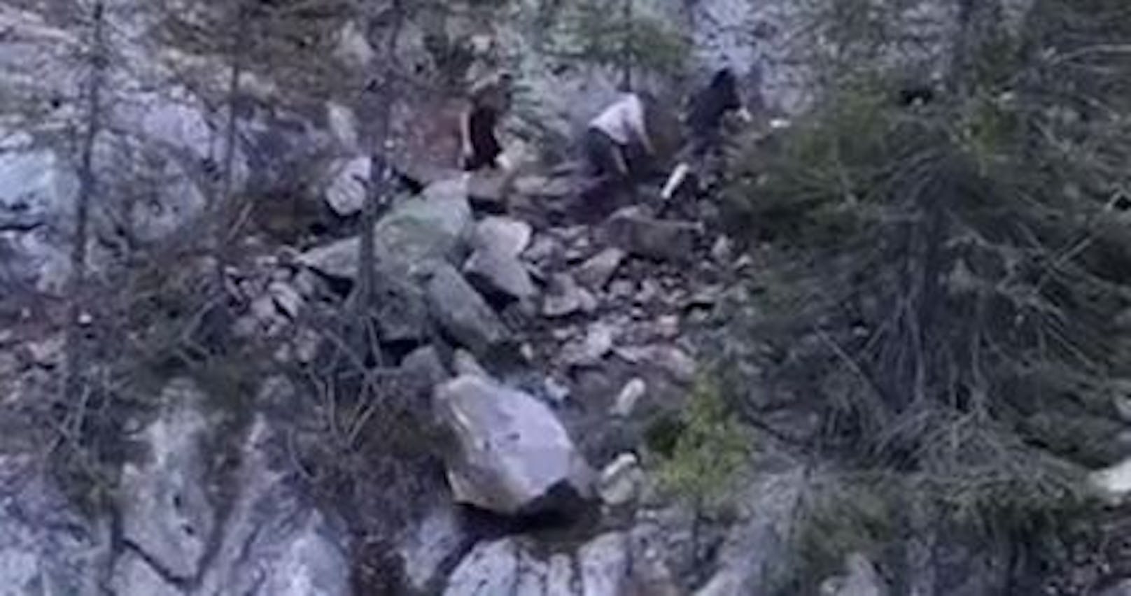 Jugendliche stoßen für Tiktok-Video Felsen in Schlucht
