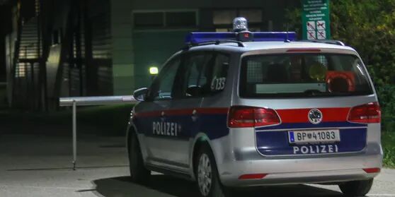 Symbolfoto eines Polizeiautos.