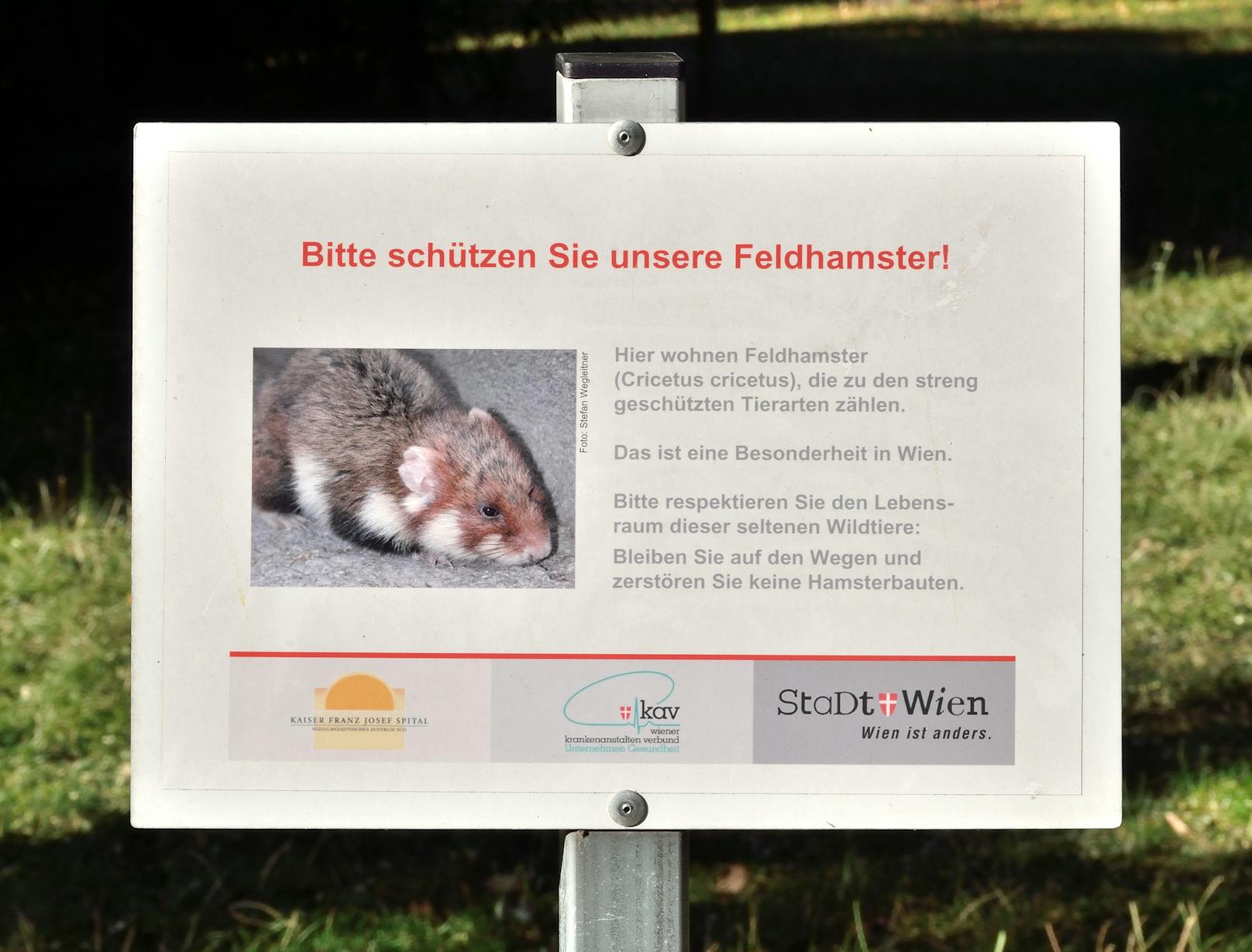 "Bitte schützen Sie unsere Feldhamster!" Hinweistafel am Gelände des Kaiser-Franz-Josef-Spitals in Wien