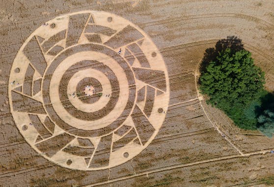 Woher stammt dieser Kornkreis, der gerade in Bayern aufgetaucht ist?