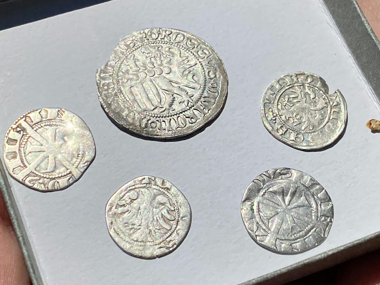 1.500 Silbermünzen wurde auf einem Grundstück in Unterweißenbach mit einer Sonde aufgespürt.