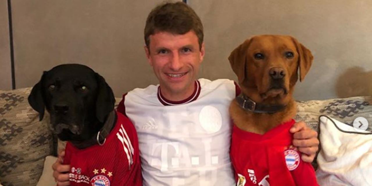 Knochenkrebs! Hund von BayernStar Müller amputiert Fussball heute.at