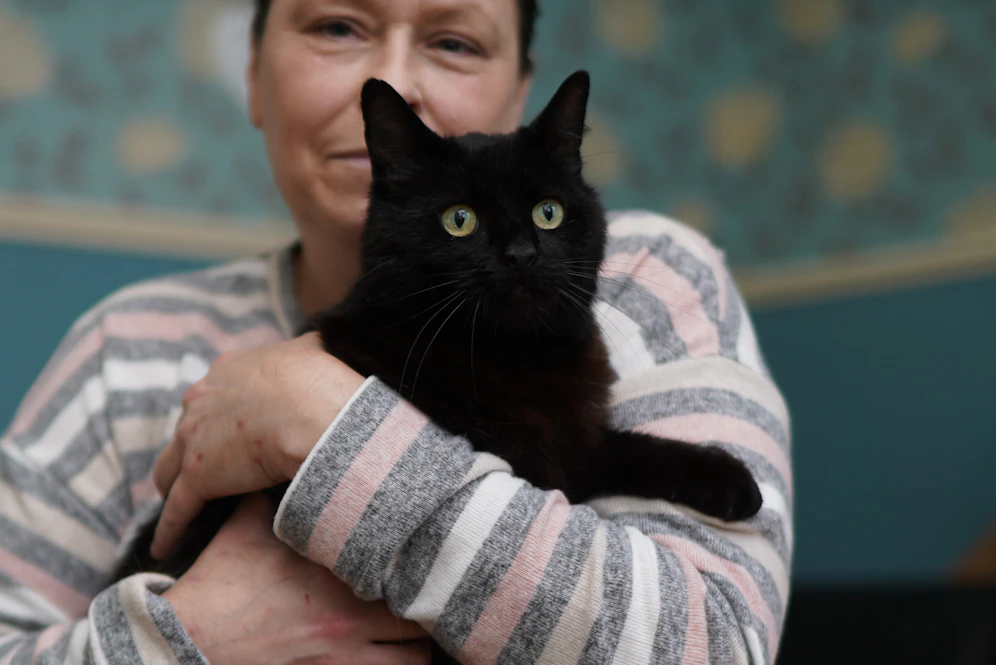 Kater Gizmo lebte sechs Jahre getrennt von seinem Frauchen.