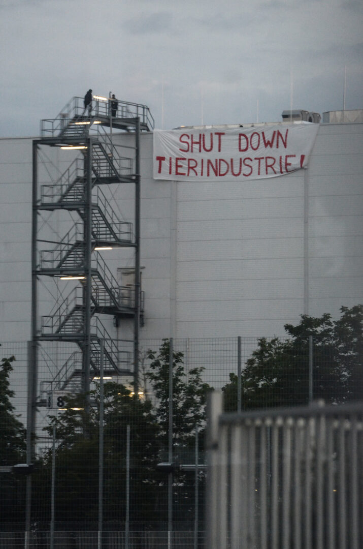 Der Tönnies-Schlachthof wurde besetzt.
