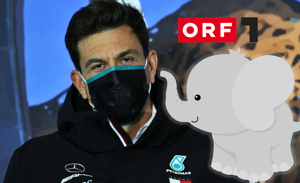 Toto Wolff und der Babyelefant