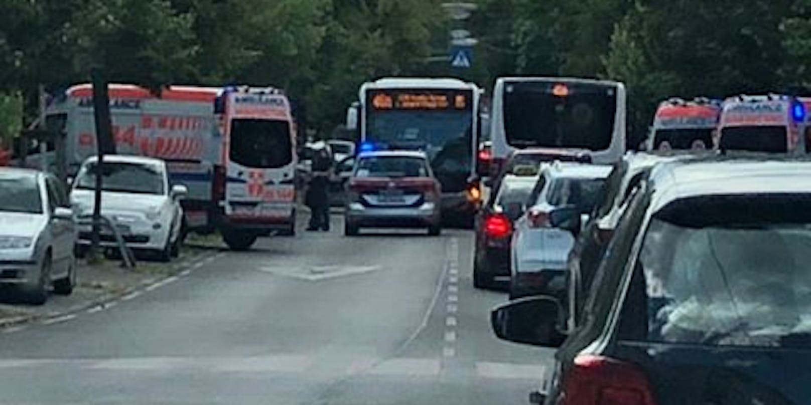 Ein Fußgänger soll von einem Bus der Wiener Linien erfasst worden sien