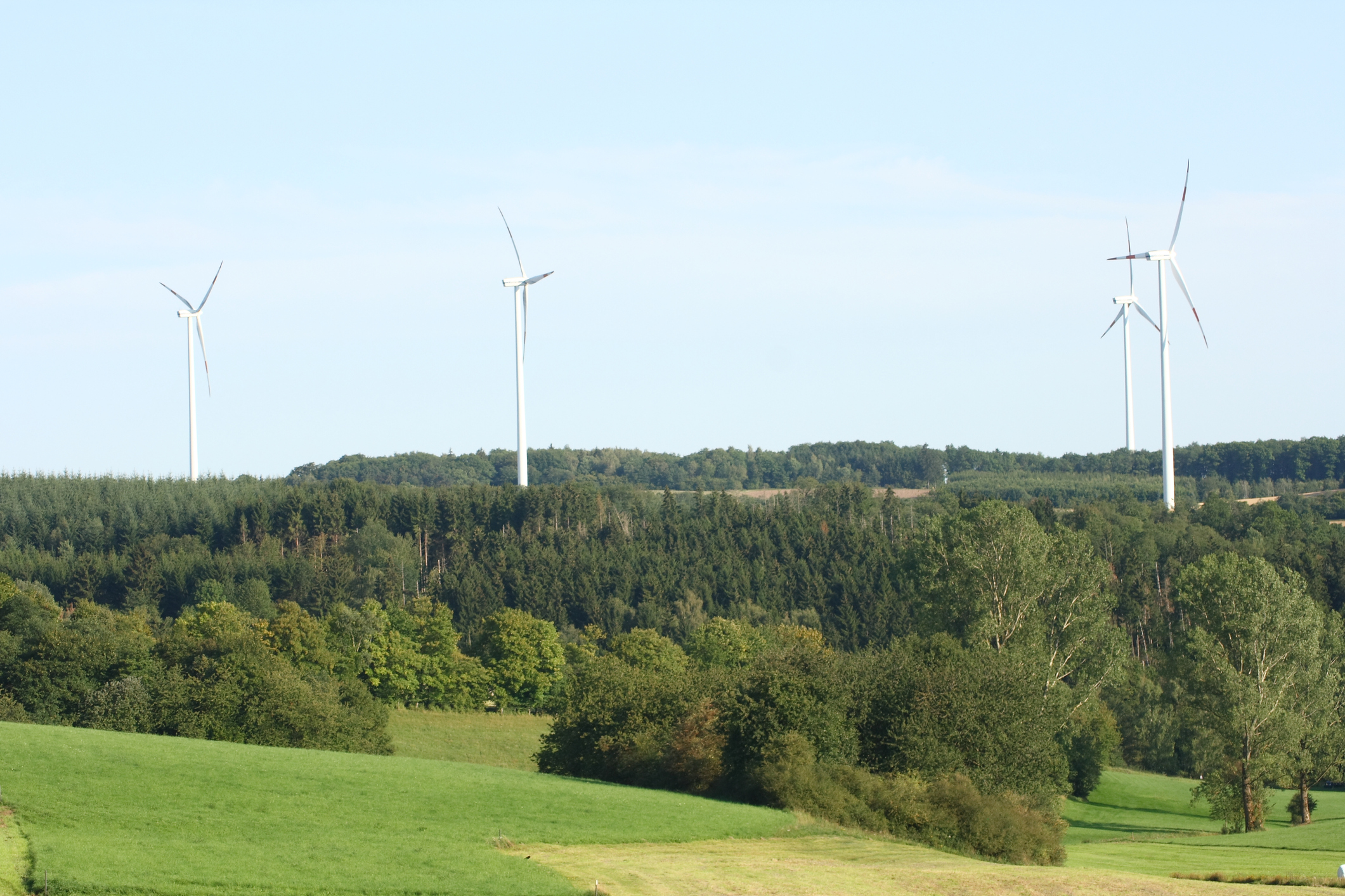 Symbolfoto von Windrädern im Wald.