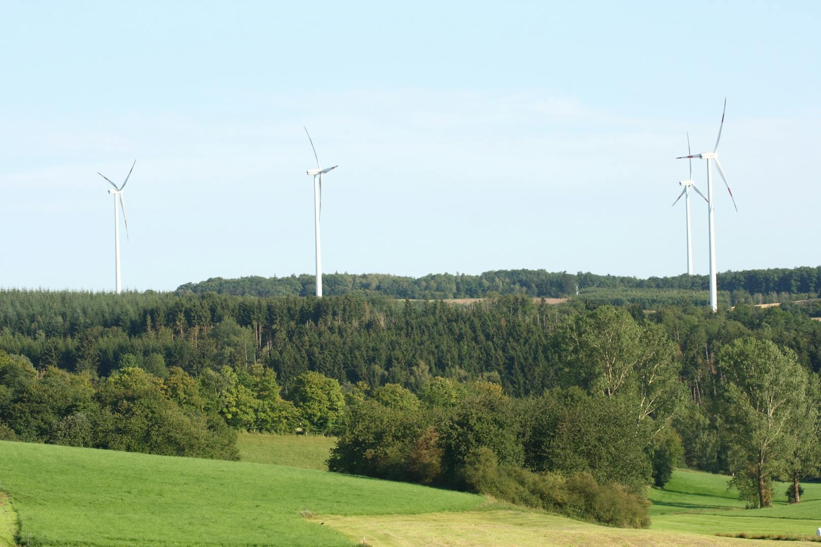 100 riesige Windräder im Waldviertel geplant