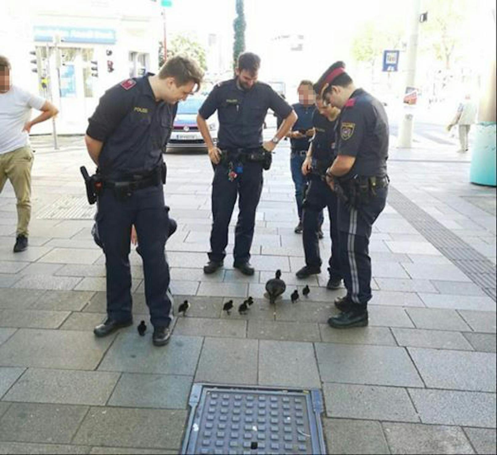 Eine süße Entenfamilie bekam am Sonntag auf der Mariahilfer Straße Polizeischutz