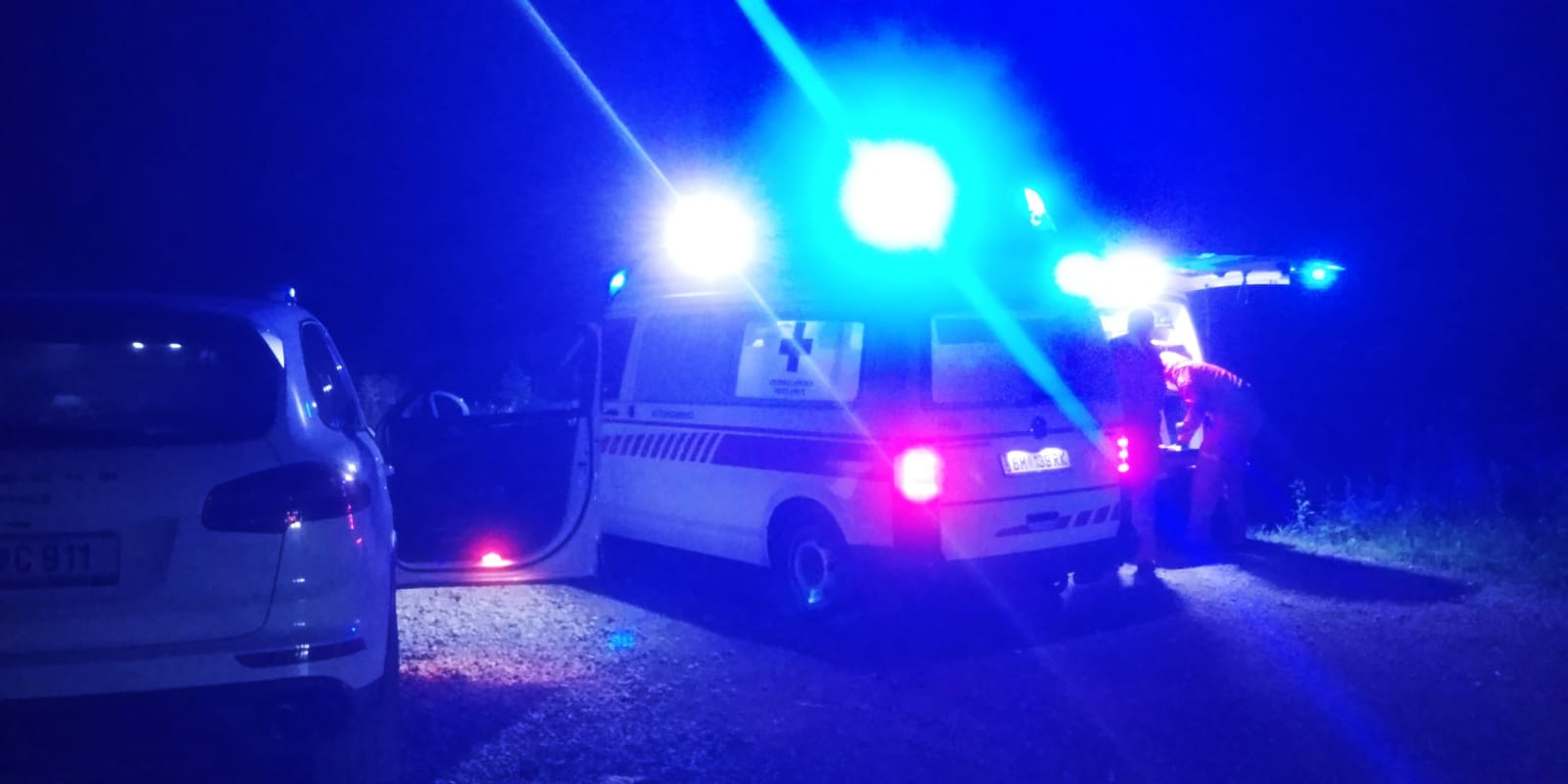 Bergrettung und Rotes Kreuz wurden wegen des Schlangenbiss auf der Hinteralm alarmiert