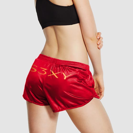 Tesla Shorts