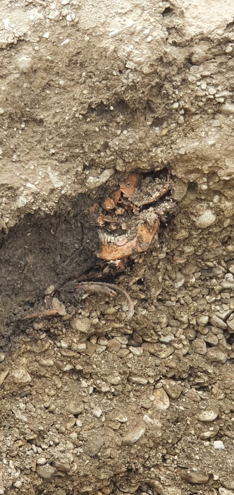 Auf einer Baustelle in St. Pölten wurde am Dienstag ein Skelett entdeckt.