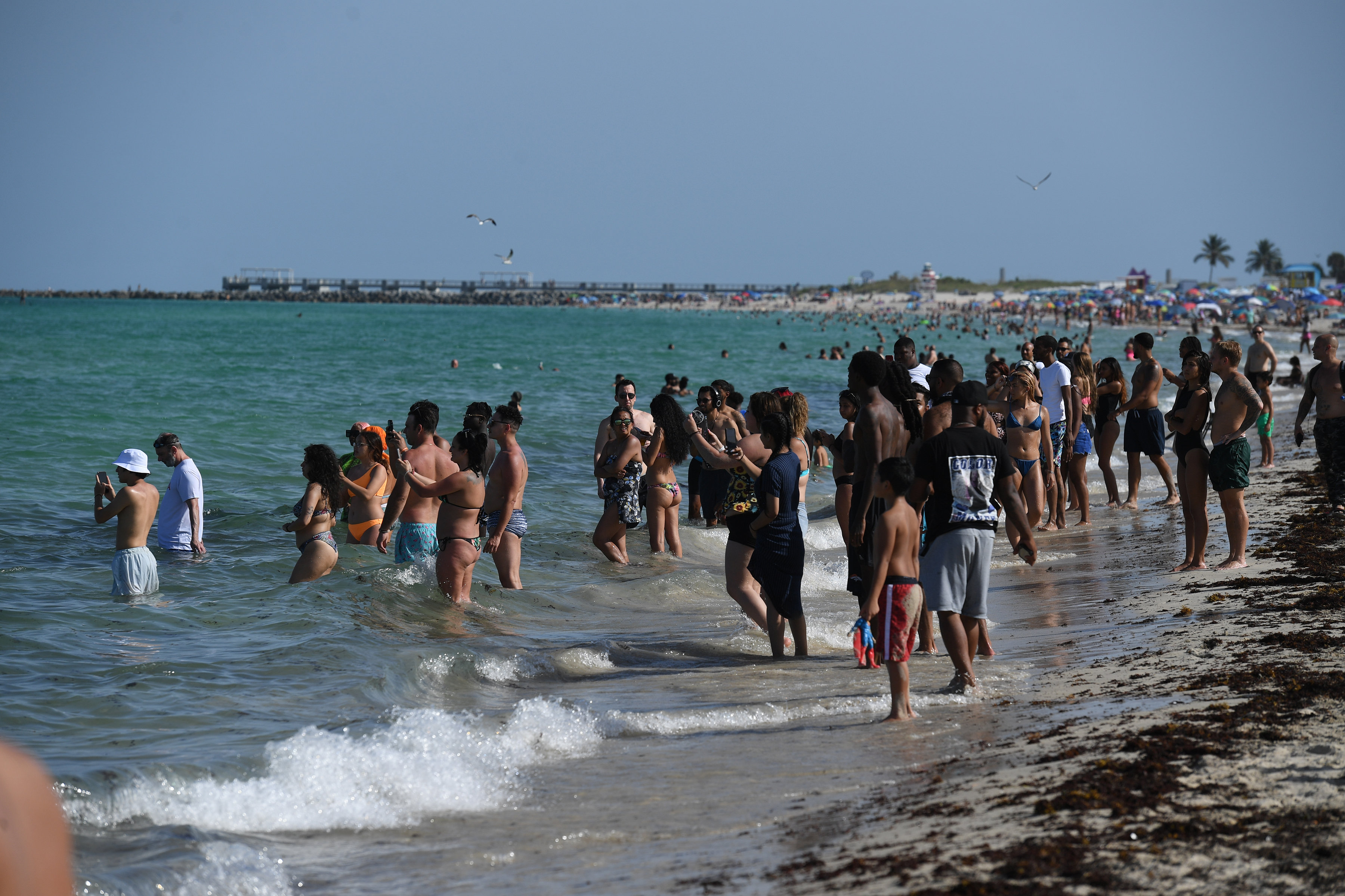 Volle Strände in den USA, obwohl das Virus noch nicht besiegt ist.