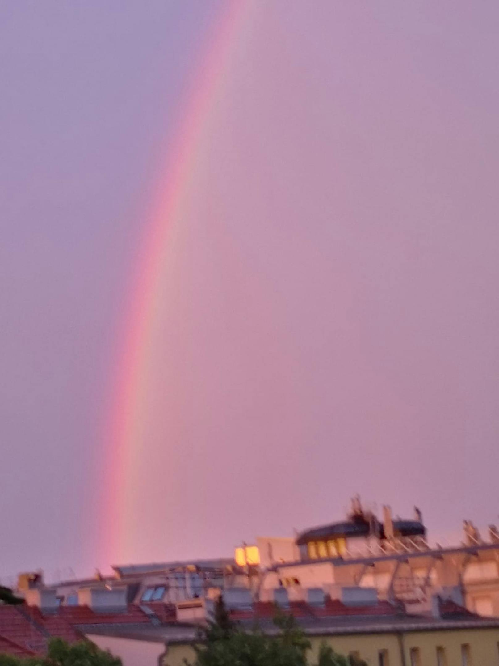 Regenbogen am Himmel über Wien