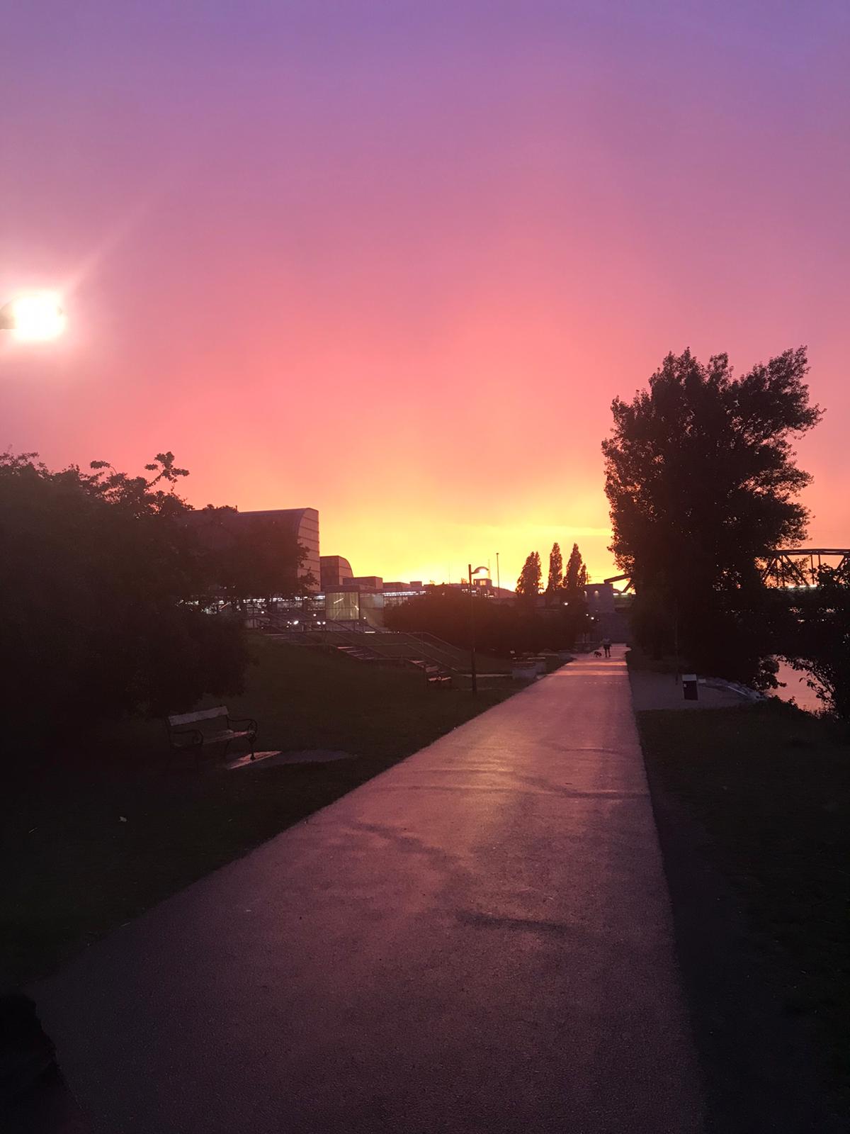 Ein beeindruckender Sonnenuntergang auf der Donauinsel