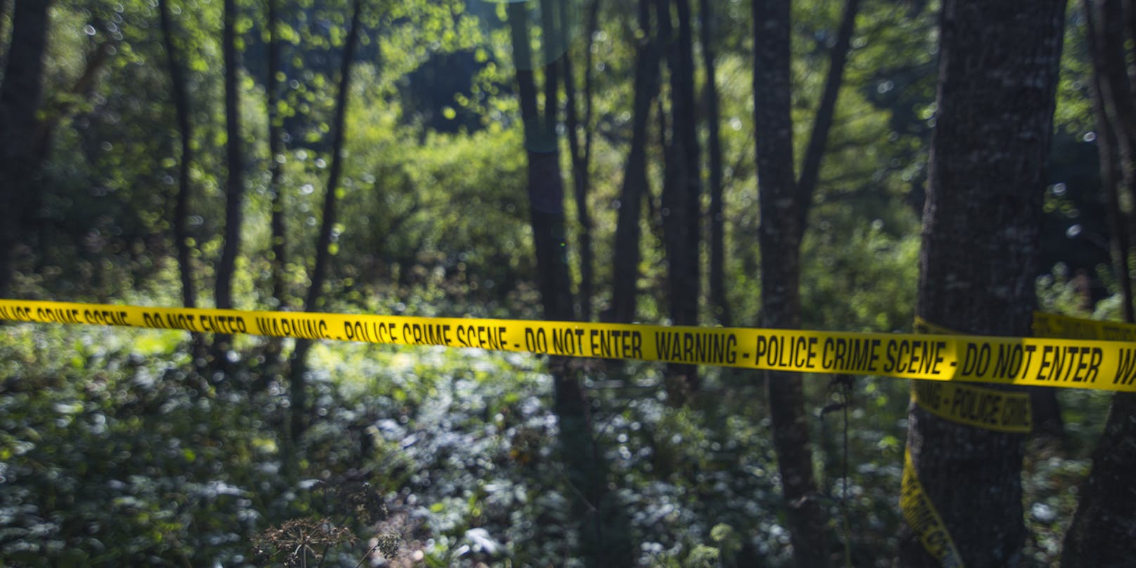 Schrei-Therapie im Wald endete mit einem Polizeieinsatz