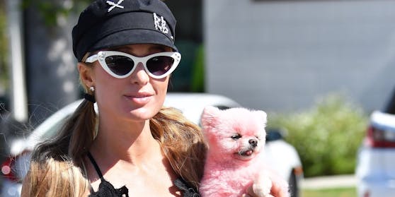 Was ist da passiert? Paris Hiltons Hund ist pink! - People | heute.at