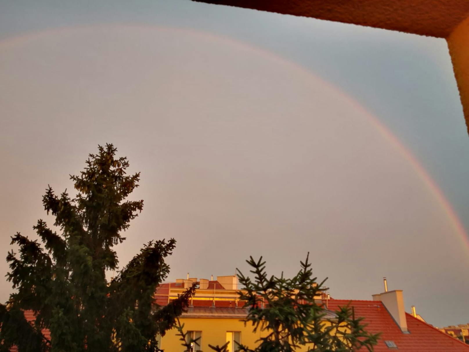 Regenbogen am Himmel über Wien