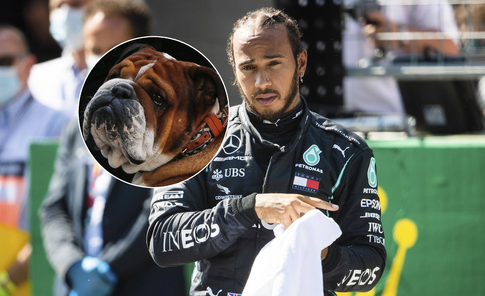 Lewis Hamilton und sein Hund Roscoe