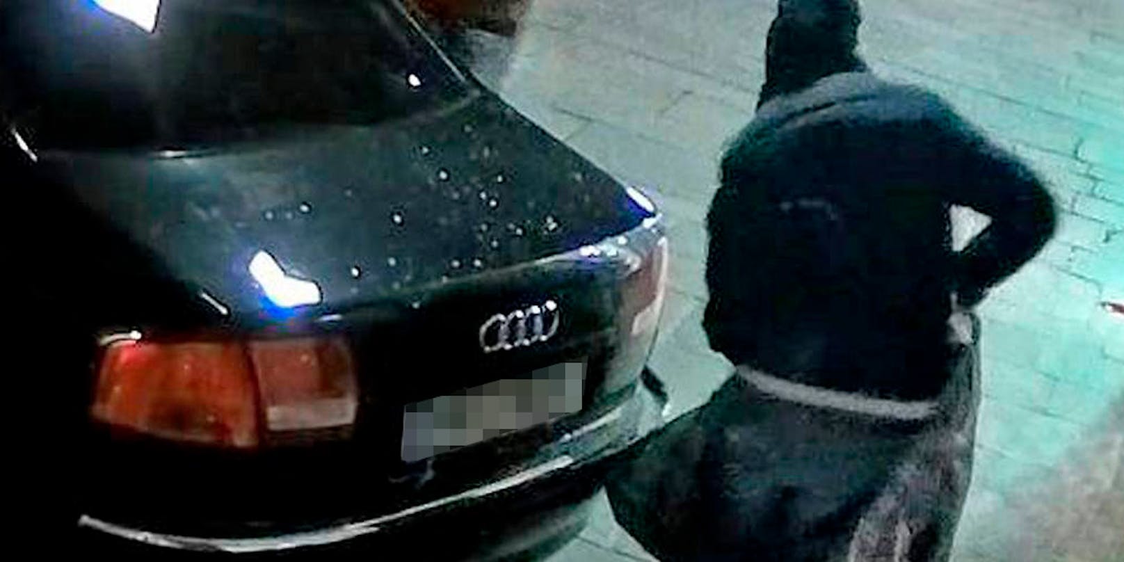 Die Einbrecher fuhren mit einem schwarzen Audi A6, an dessen Kofferraum eine Holzramme montiert war, rückwärts gegen die Auslagenscheibe beziehungsweise Türe des Geschäftes.