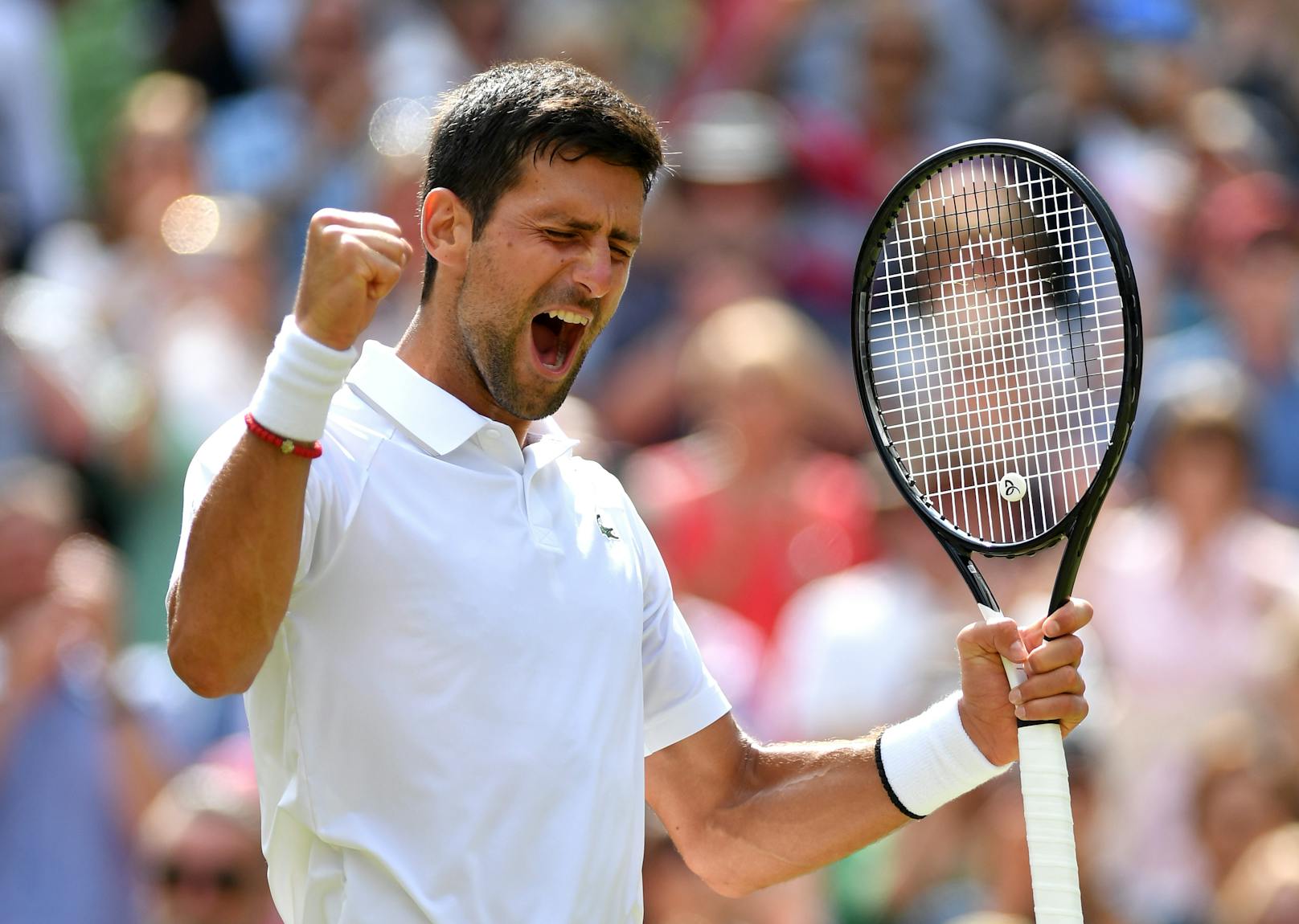Novak Djokovic: einer der erfolgreichsten Tennisspieler aller Zeiten