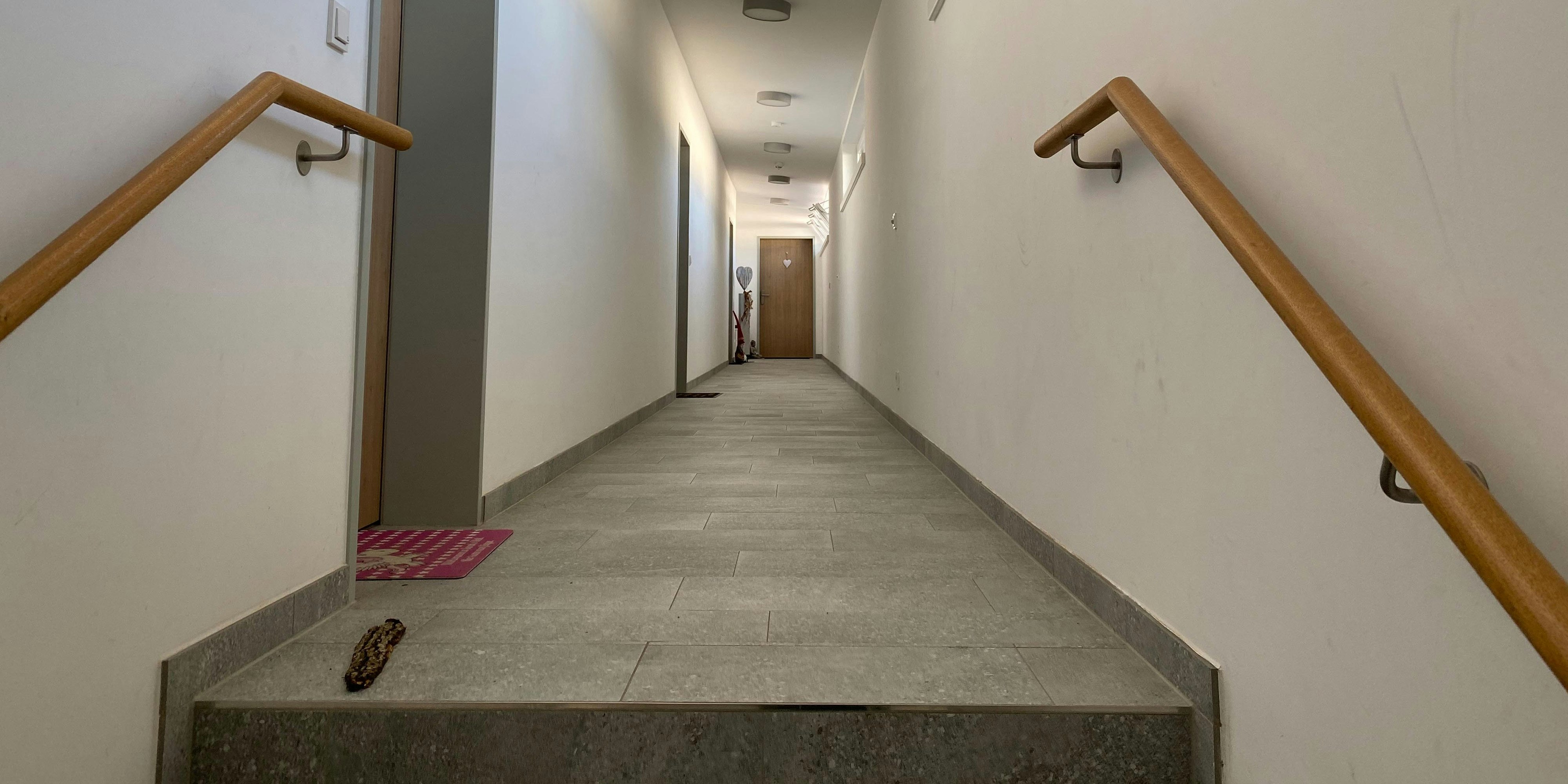 ... durch das Stiegenhaus bis zu ihrer Wohnung. Dort raubten sie sie aus.